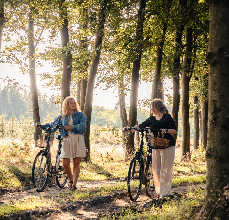 Zwei Frauen auf einer Pilztour im Wald mit Fahrrädern