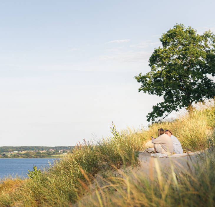 Frauen genießen die Aussicht über den Vejle Fjord am Hvidbjerg Strand